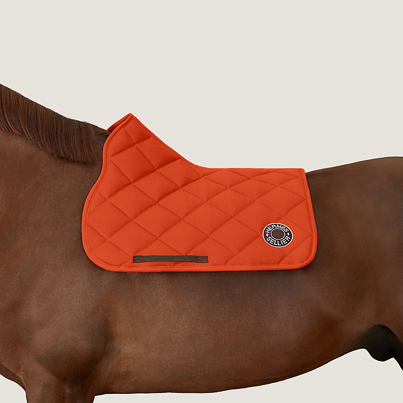 Hermès horse discount accessories